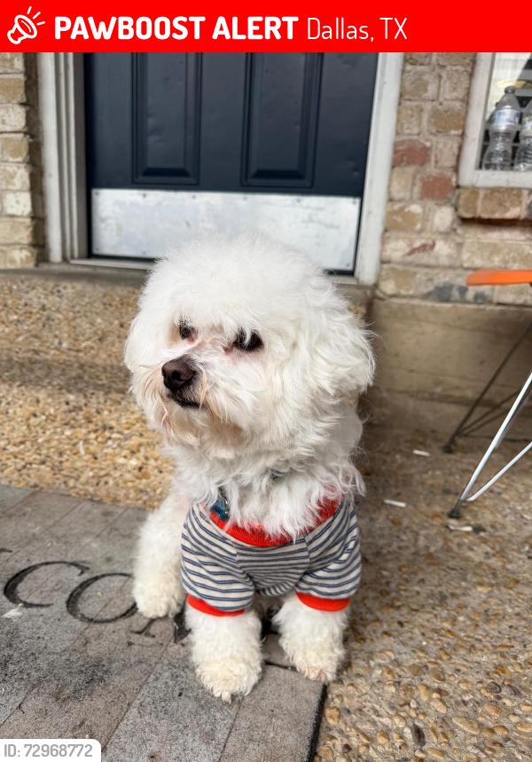 Lost Male Dog last seen Audelia , Dallas, TX 75238