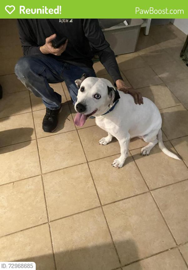 Reunited Male Dog last seen Sand hills Ct, Charlotte NC, Charlotte, NC 28215