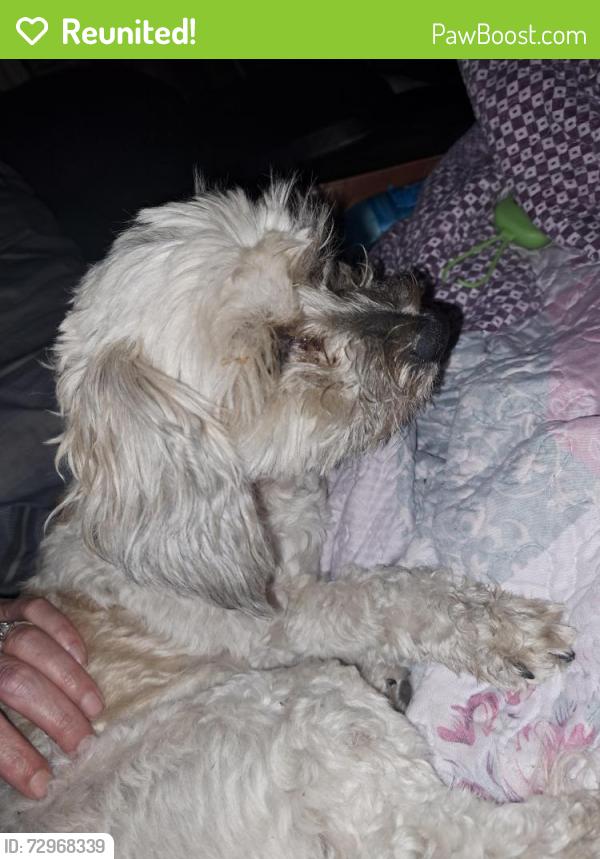 Reunited Female Dog last seen Turner rd, Belmont Rd, VA 23235