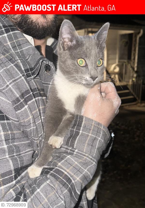 Lost Female Cat last seen Clairmont Terrace NE, Atlanta, GA 30345