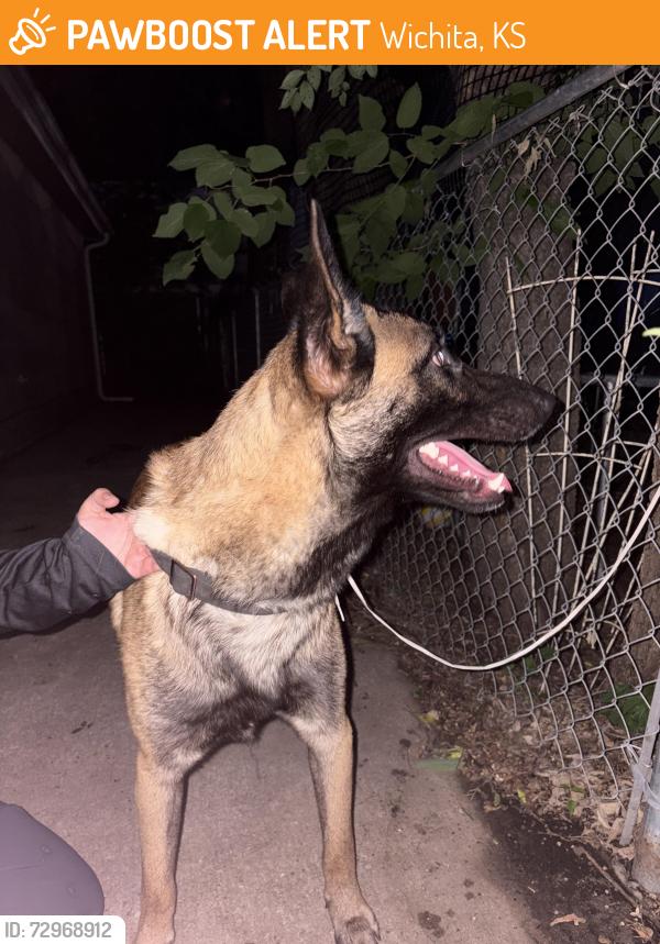 Found/Stray Male Dog last seen Young st, Wichita, KS 67212