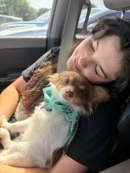 Reunited Male Dog last seen Near Dublin Ridge Dr, Crowley, TX 76036, USA, Crowley, TX 76036