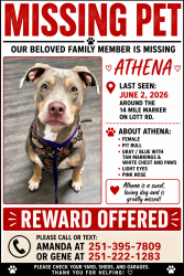 Lost Female Dog last seen 14 mile marker in lott rd, Mobile County, AL 36587