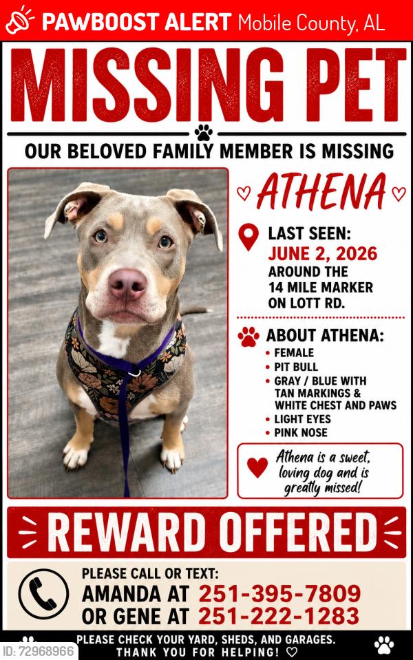 Lost Female Dog last seen 14 mile marker in lott rd, Mobile County, AL 36587