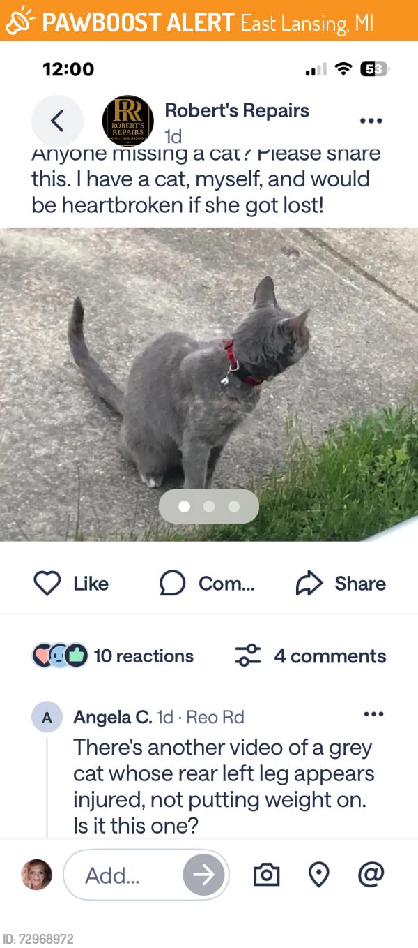 Found/Stray Unknown Cat last seen Unknown , East Lansing, MI 48823