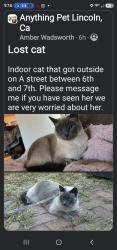 Lost Female Cat last seen Grace life church, 6th and 7th, Lincoln, CA 95648