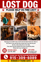 Lost Female Dog last seen Edgemere and lee by bill sybert middle school, El Paso, TX 79936