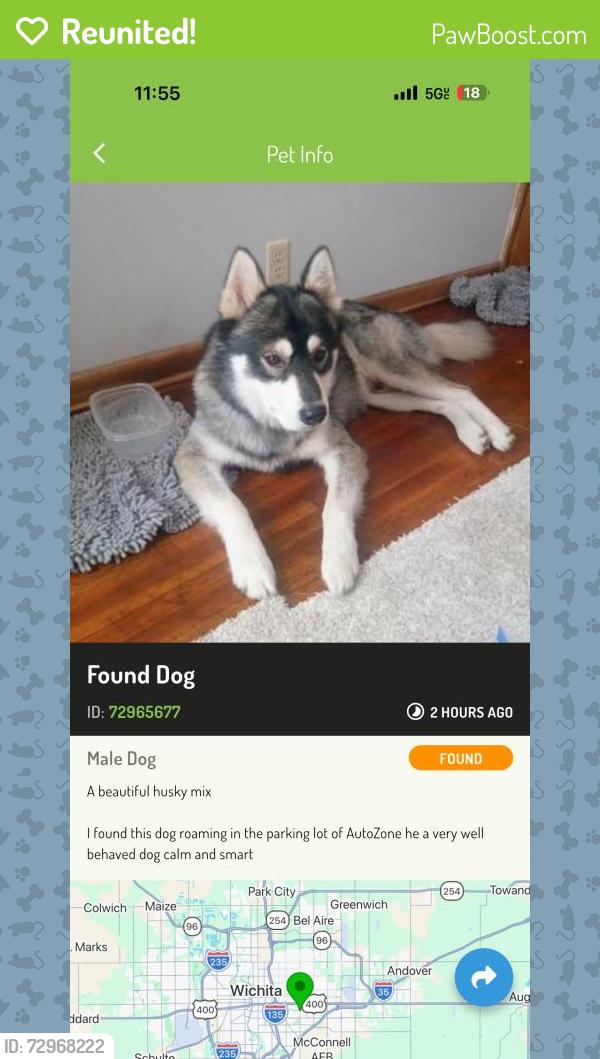 Reunited Male Dog last seen &, S Oliver St & E Lincoln St, Wichita, KS 67218, USA, Wichita, KS 67218