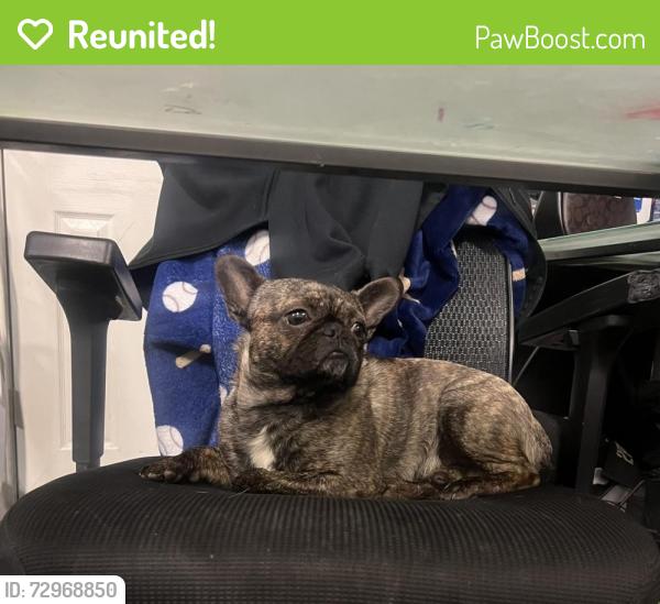 Reunited Male Dog last seen Santa Fe Ave. and Nw 34st st, Moore, OK 73160