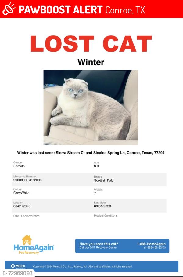 Lost Female Cat last seen Sinaloa Spring Ln and Sierra Stream Ct, Conroe, TX 77304