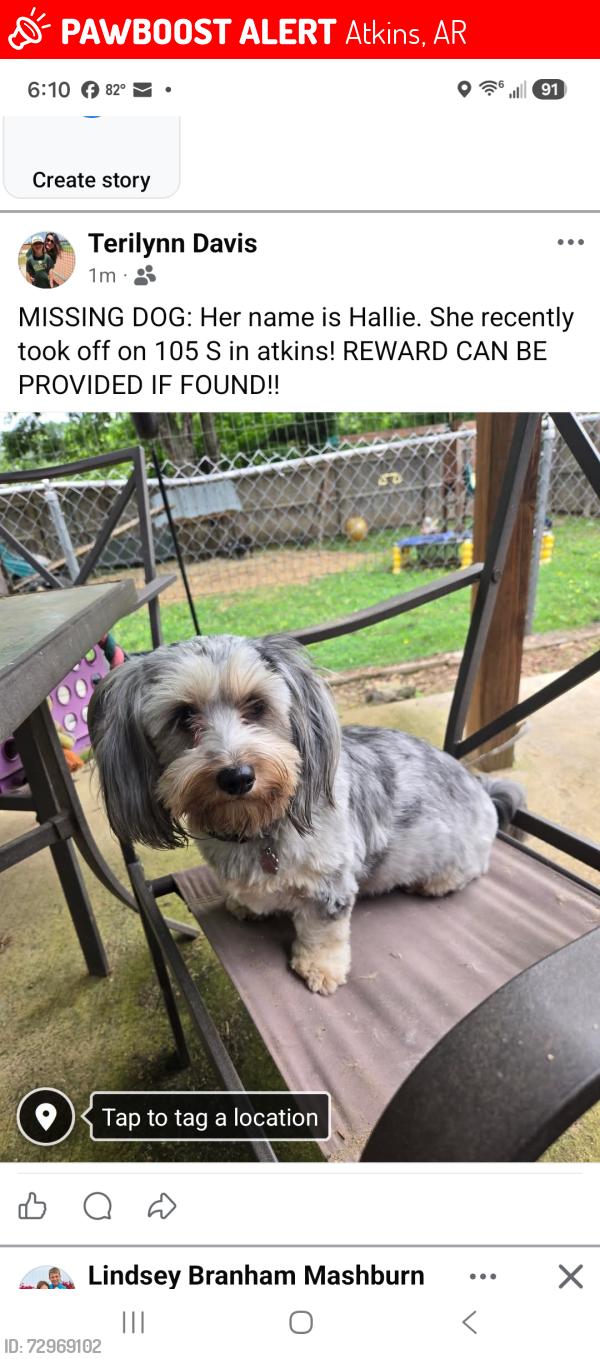 Lost Female Dog last seen Lucky landing, Atkins, AR 72823
