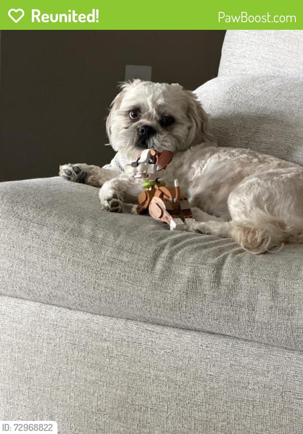 Reunited Male Dog last seen Yuma rd and lower buckeye, Buckeye, AZ 85326