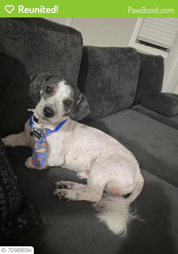 Reunited Male Dog last seen Hampton Hills cndmniums , Columbia, SC 29209