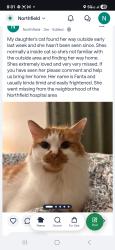 Lost Female Cat last seen Northfield hosp area, Northfield, MN 55057