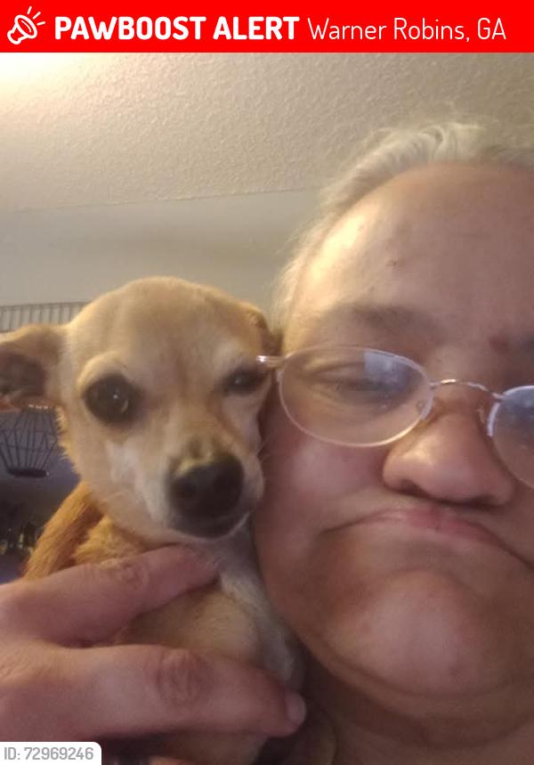 Lost Male Dog last seen N Houston road, Warner Robins, GA 31093