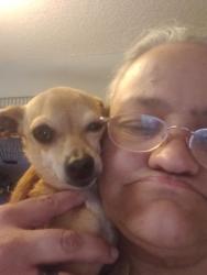 Lost Male Dog last seen N Houston road, Warner Robins, GA 31093