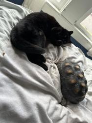 Reunited Female Other last seen Near Mabel, Berkeley CA 94702, Berkeley, CA 94702