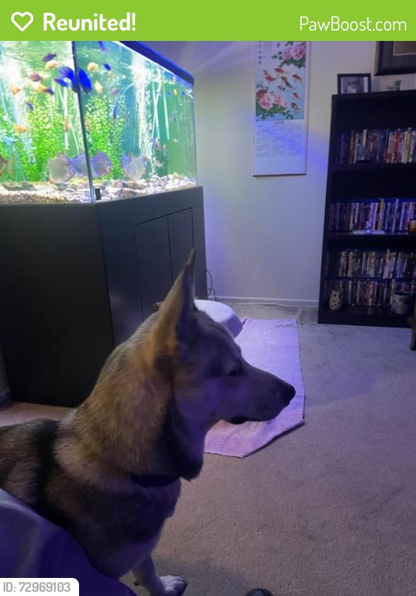 Reunited Unknown Dog last seen Burbank Blvd, Los Angeles, CA 91496