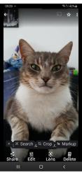 Reunited Male Cat last seen Whitegate Drive, Manor Road FY1 4EA, Blackpool, England FY1 4EA