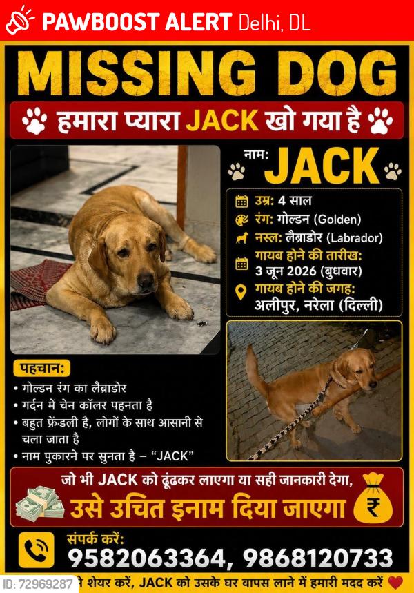 Lost Male Dog last seen 📍 Last Seen: Garthi Khurad Road, Alipur–Narela Delhi, Delhi, DL 110036