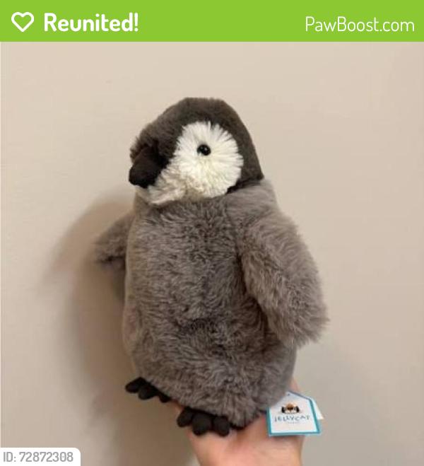 Reunited Unknown Other last seen Somerset and redwood , Castro Valley, CA 94546