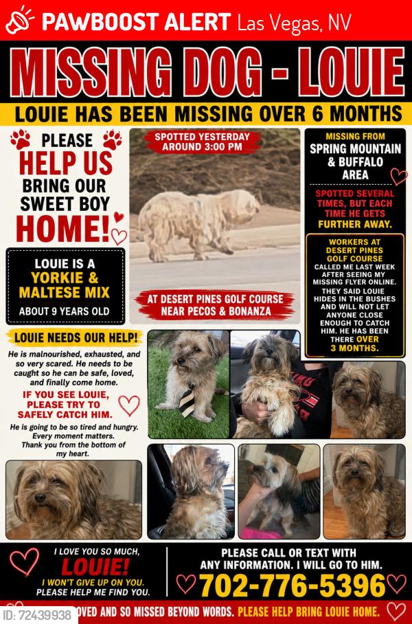 Lost Male Dog last seen DESERT PINES GOLF CLUB, Las Vegas, NV 89101