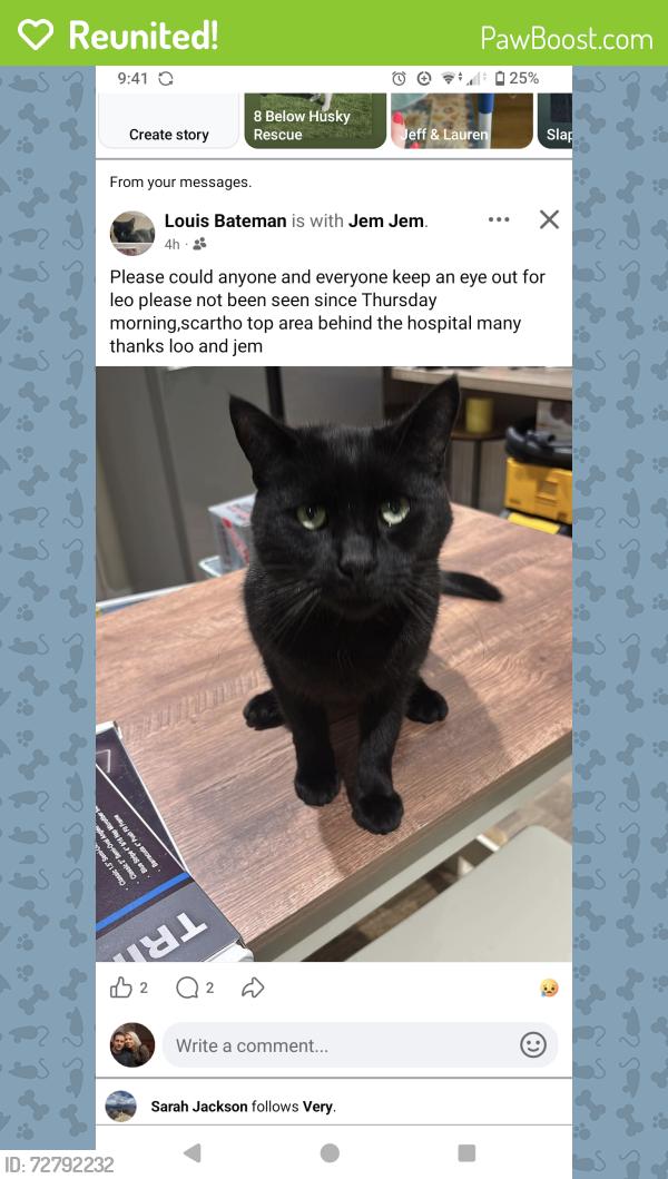 Reunited Male Cat last seen Grimsby hosp , Scartho Top, England DN33