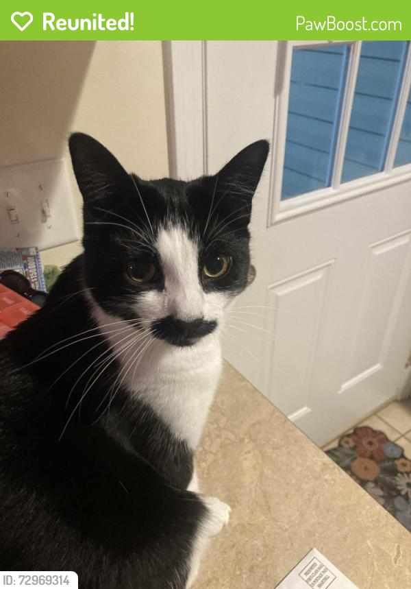 Reunited Male Cat last seen Southern Middle School, Aberdeen, NC 28315