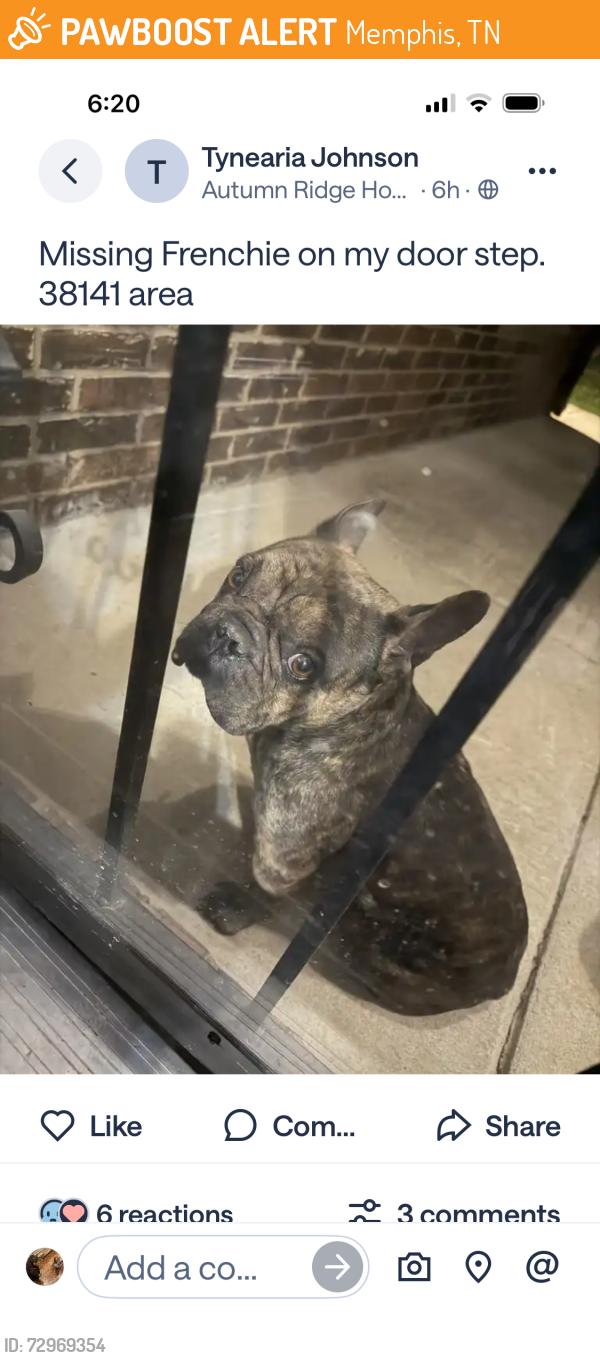 Found/Stray Unknown Dog last seen Autumn Ridge, Memphis, TN 38141