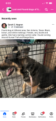 Found/Stray Female Dog last seen Range Boss and Gunsel Trail, San Antonio, TX 78245