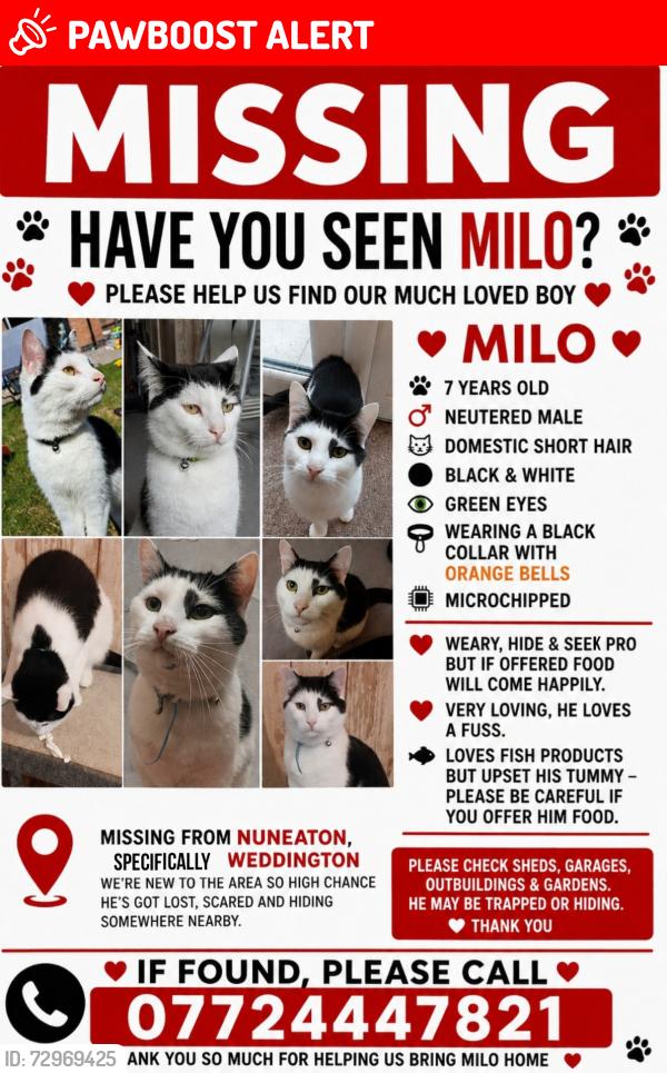 Lost Male Cat last seen Shearing Crescent , Warwickshire, England CV10 0FF