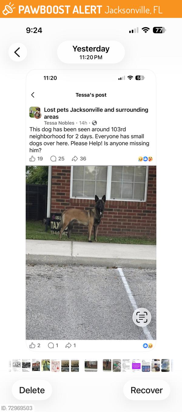 Found/Stray Unknown Dog last seen June 4 2026, Jacksonville, FL 32210