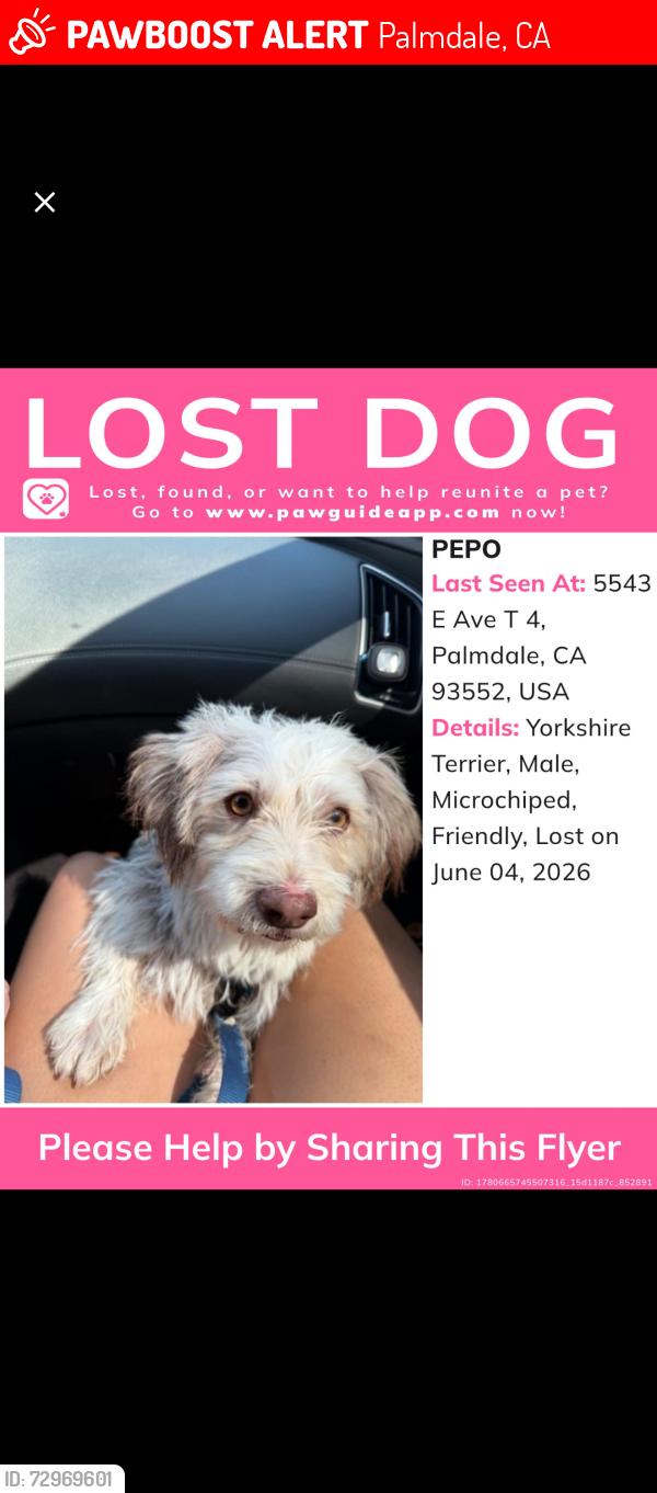 Lost Male Dog last seen Pearblossom hwy, Palmdale, CA 93552