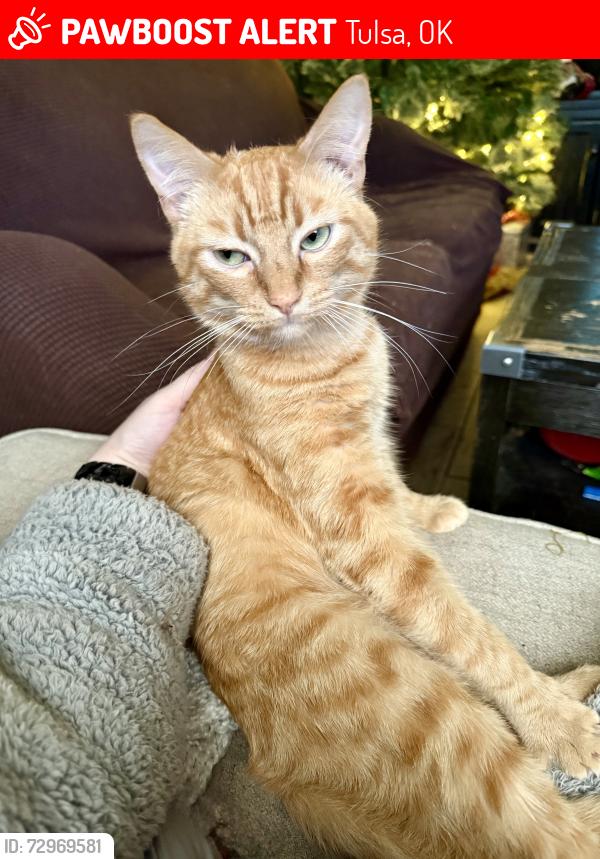 Lost Male Cat last seen 41st 145th, Tulsa, OK 74134