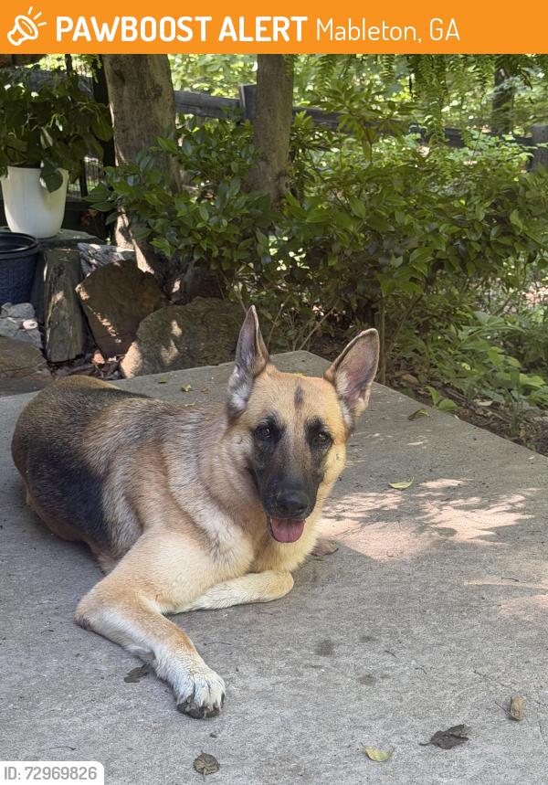 Found/Stray Female Dog last seen Lakeshore Dr , Mableton, GA 30126