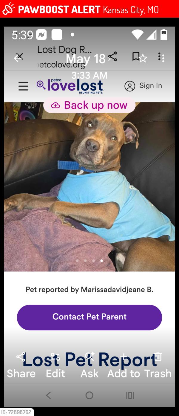 Lost Male Dog last seen WINGATE HOTEL PARKING LOT... TAKEN IN VEHICLE, Kansas City, MO 64161