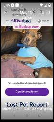 Lost Male Dog last seen WINGATE HOTEL PARKING LOT... TAKEN IN VEHICLE, Kansas City, MO 64161