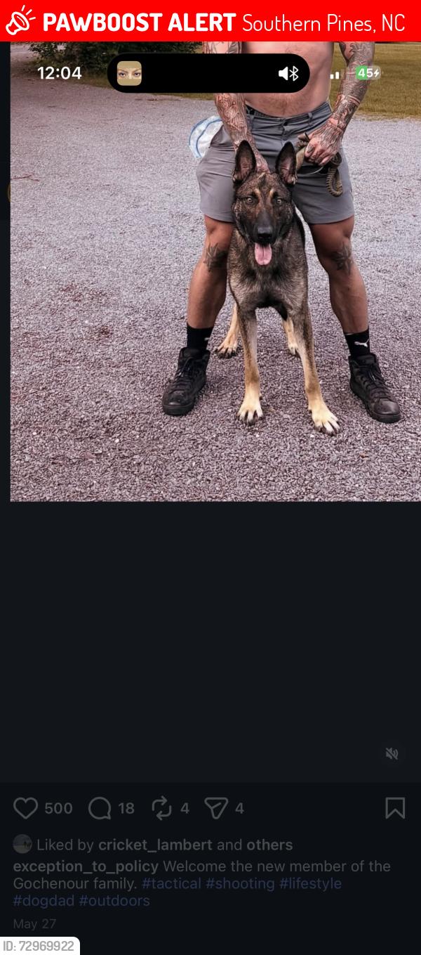 Lost Male Dog last seen Highway US1, Southern Pines, NC 28387