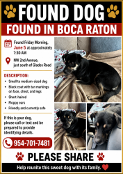 Found/Stray Male Dog last seen NW 2nd Ave , just south of Glades Road , Boca Raton, FL 33486