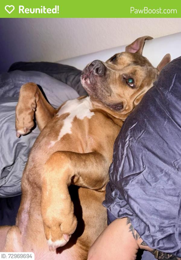 Reunited Male Dog last seen Blue Mound , Saginaw, TX 76131