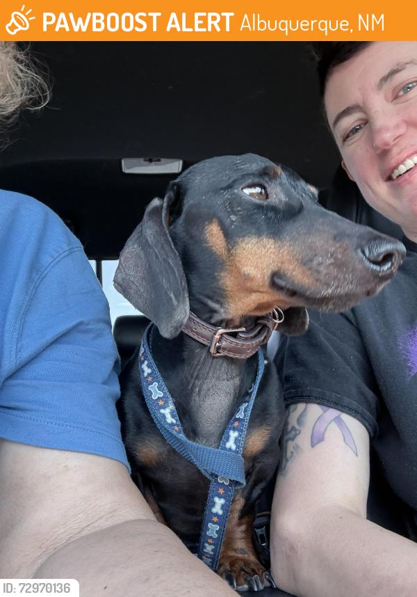 Found/Stray Male Dog last seen Near eagle eye drive nw, Albuquerque, NM 87120