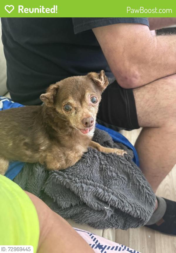 Reunited Male Dog last seen 113th & Corrington Ave, Kansas City, MO 64134