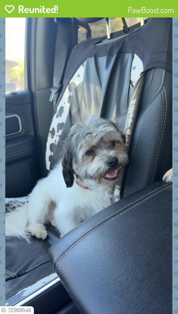 Reunited Male Dog last seen Maas Arena, Pizza Ranch, Mclaughlin Street, Watertown, SD 57201