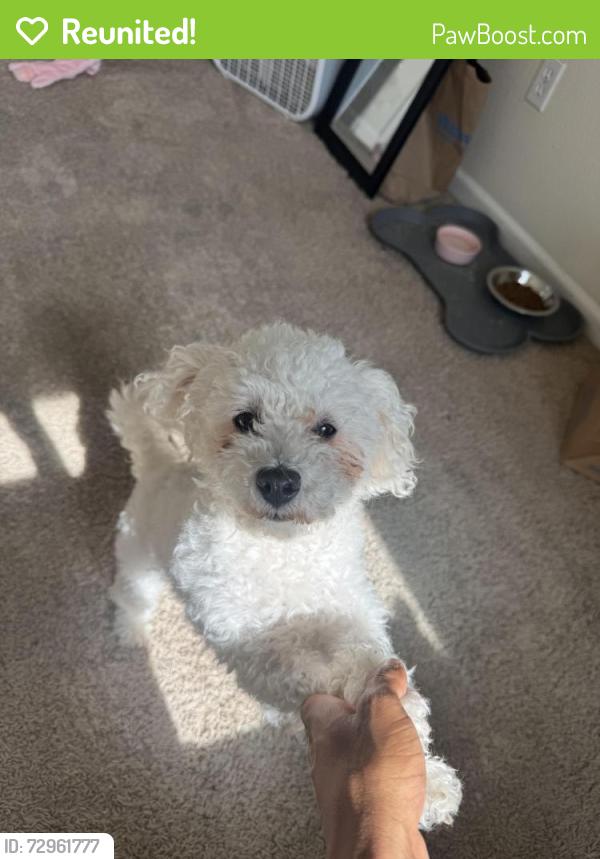 Reunited Female Dog last seen Near flatley circle, Fairfield, CA 94533