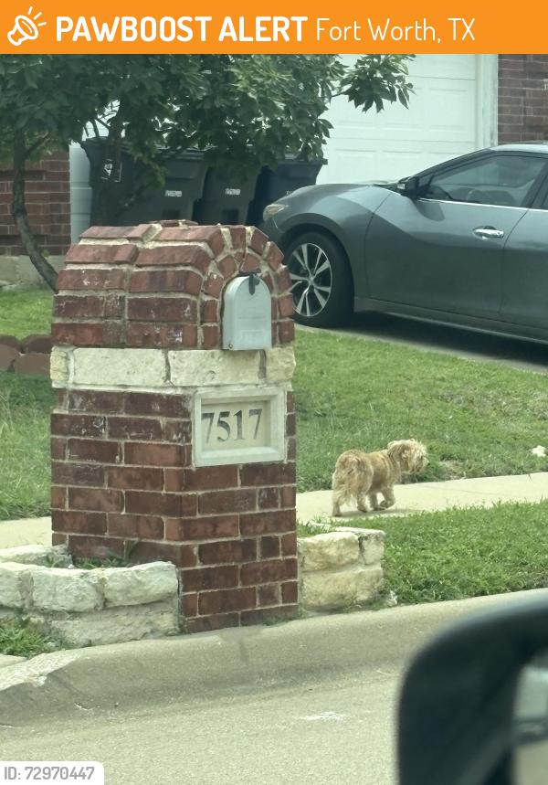 Found/Stray Unknown Dog last seen Near , Fort Worth, TX 76123