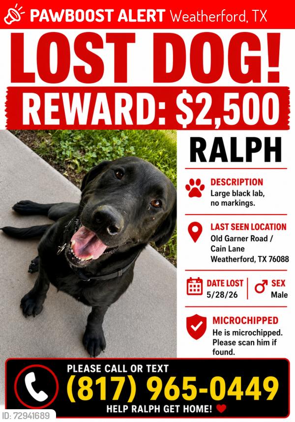 Lost Male Dog last seen Old Garner Road / Cain Lain / Mineral Wells Trail, Weatherford, TX 76088