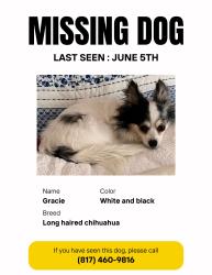 Reunited Female Dog last seen Bancroft ct , Arlington, TX 76017