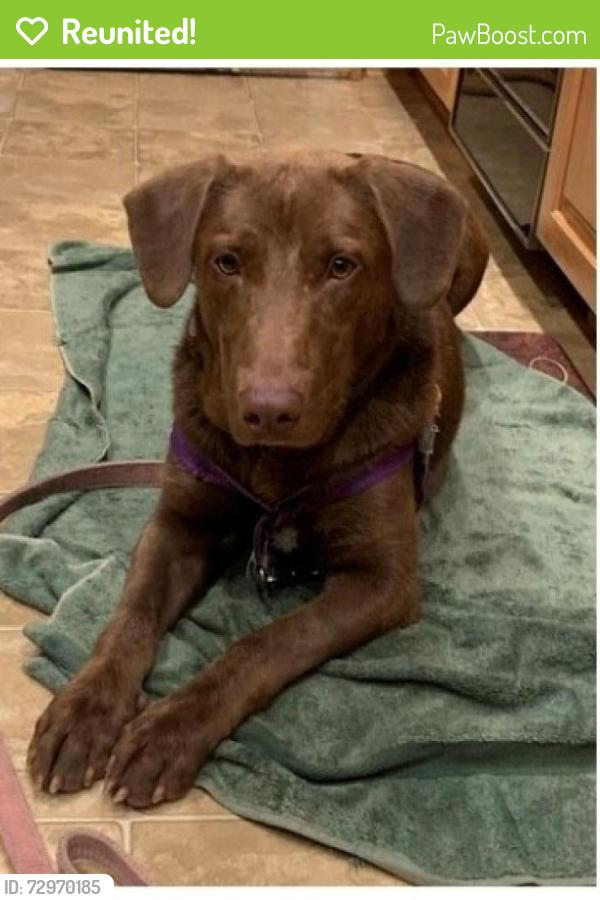 Reunited Male Dog last seen Gwenedd Ct, Pleasant Gap, PA, Pleasant Gap, PA 16823