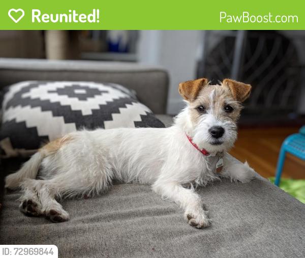 Reunited Female Dog last seen Dellwood Dr and Oakhurst Dr, Knoxville, TN 37919