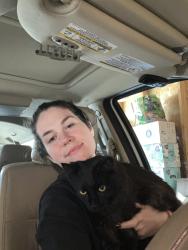 Reunited Male Cat last seen 49th st s and 19th near homedepot , Fargo, ND 58103